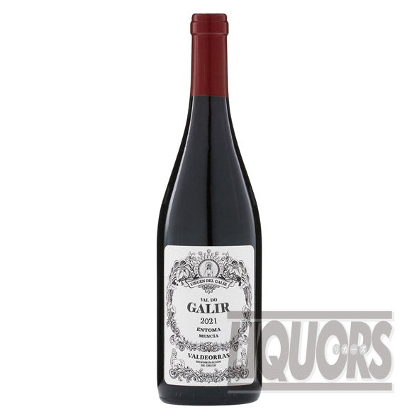 Virgen del Galil Val de Galil Mencia