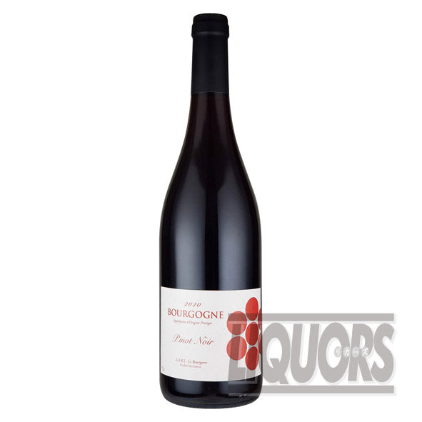 Le Bourgeon Burgundy Pinot Noir