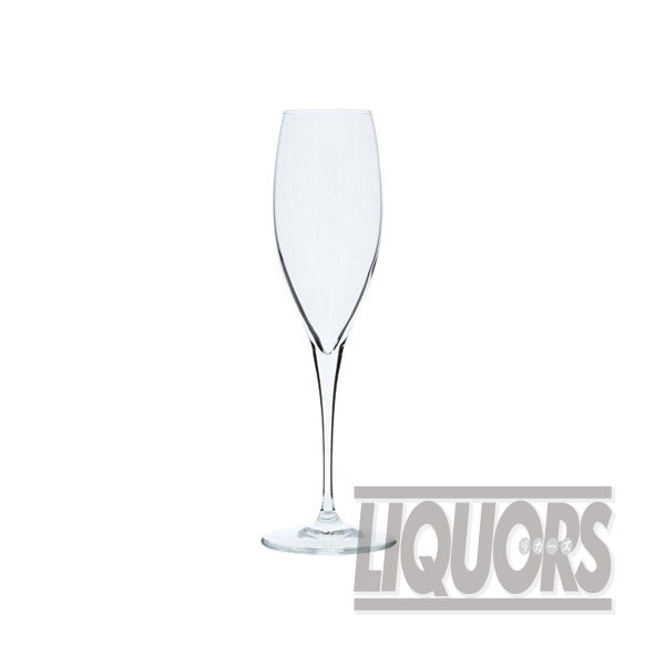 Premium Model Champagne 250 (6 bottles)