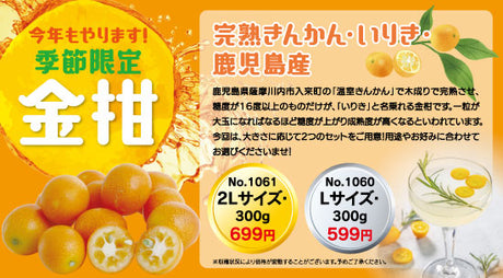 今年もやります!季節限定金柑