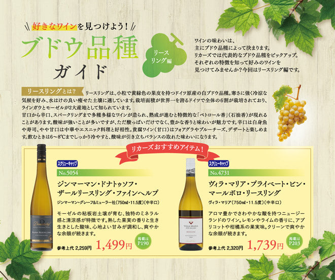 好きなワインを見つけよう！ブドウ品種ガイド